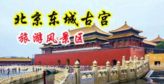 喜欢大鸡巴操我吃我逼中国北京-东城古宫旅游风景区